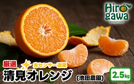 清見 オレンジ 厳選 2.5kg+250g（痛み補償分） 光センサー / 清見オレンジ 清見タンゴール きよみ 清美 甘い 高級 和歌山 柑橘 ※2月上旬～6月上旬に順次発送 ※北海道・沖縄・離島への配送不可 【ikd011-p-2d5D】