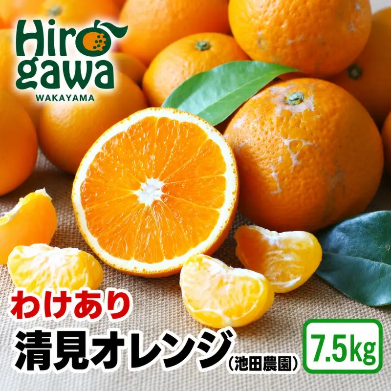 清見 オレンジ 7.5kg+250g 痛み補償分
