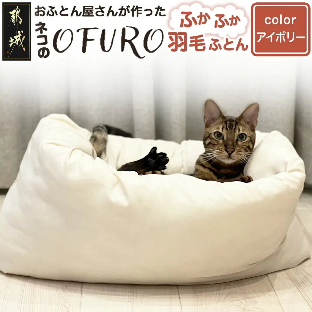 【アイボリー】ねこの羽毛ふとん「OFURO」〔AF-J206-iv〕_(都城市) 羽毛布団タイプ 大切な家族 ペット 埋もれるおふとん 夢中 ニューゴールドラベル 高品質 全部丸洗い
