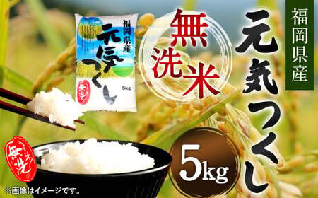 【令和7年産】福岡県産 元気つくし 無洗米 5kg お米 ご飯 米