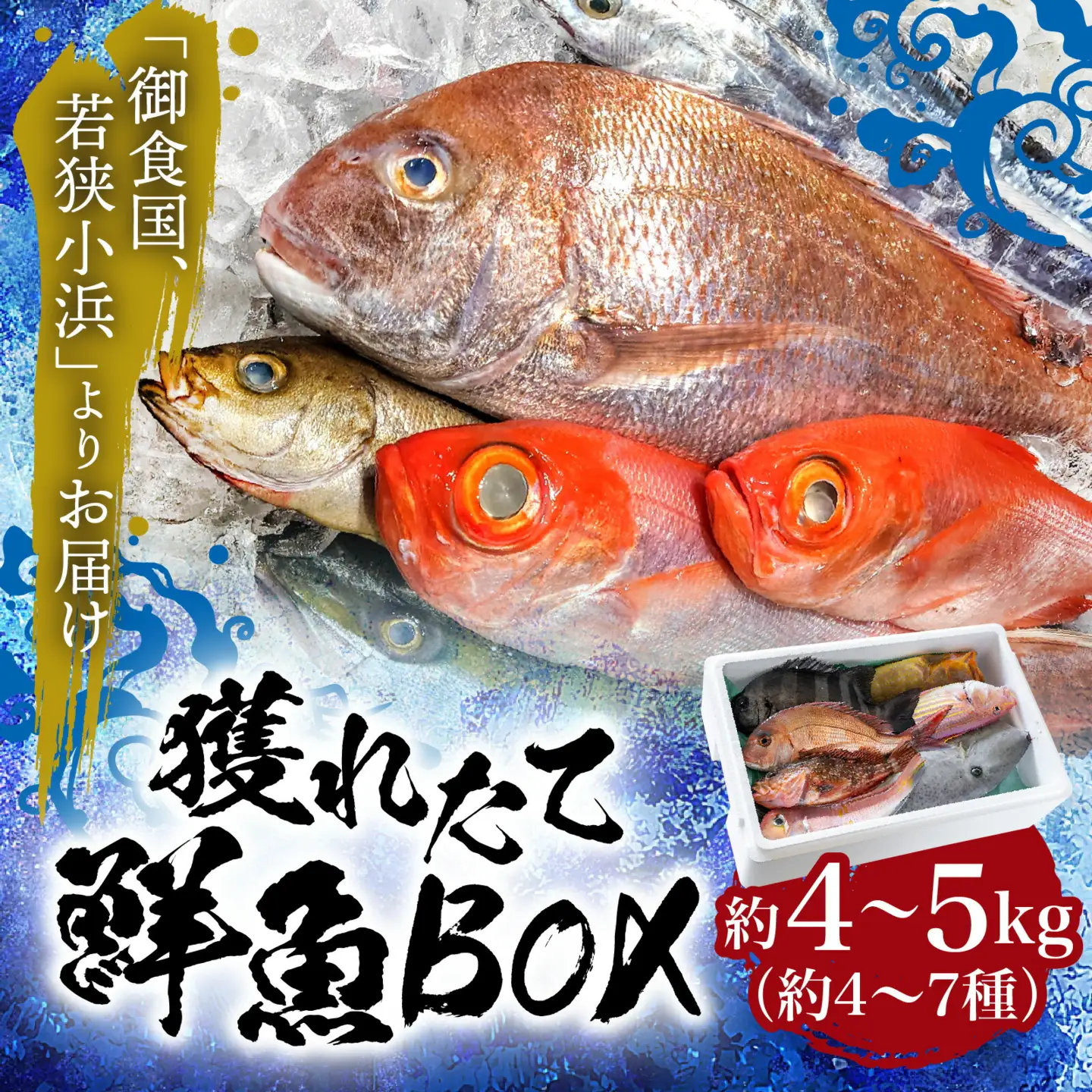 御食の国 若狭小浜より！獲れたて鮮魚BOX｜4から5kg 4から7種【配送不可地域：北海道、北東北（秋田、青森、岩手）、九州、沖縄、離島】 [BFAA060] 