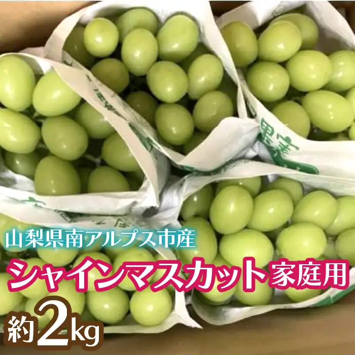 ＜2026年発送先行予約＞シャインマスカット (新鮮直送・家庭用2kg) ALPCZ014