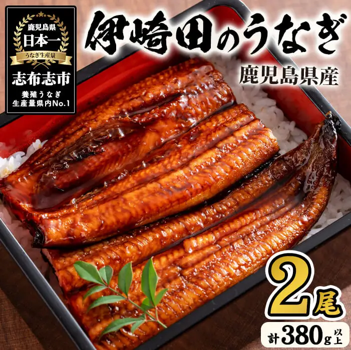 【数量限定】鹿児島県産 伊崎田のうなぎ蒲焼 特大＜190g以上＞× 2尾(計380g以上) 鰻 うなぎ ウナギ 蒲焼き 2尾 国産 九州産 鹿児島県産 冷凍 おつまみ 鰻重 うな丼 a8-078