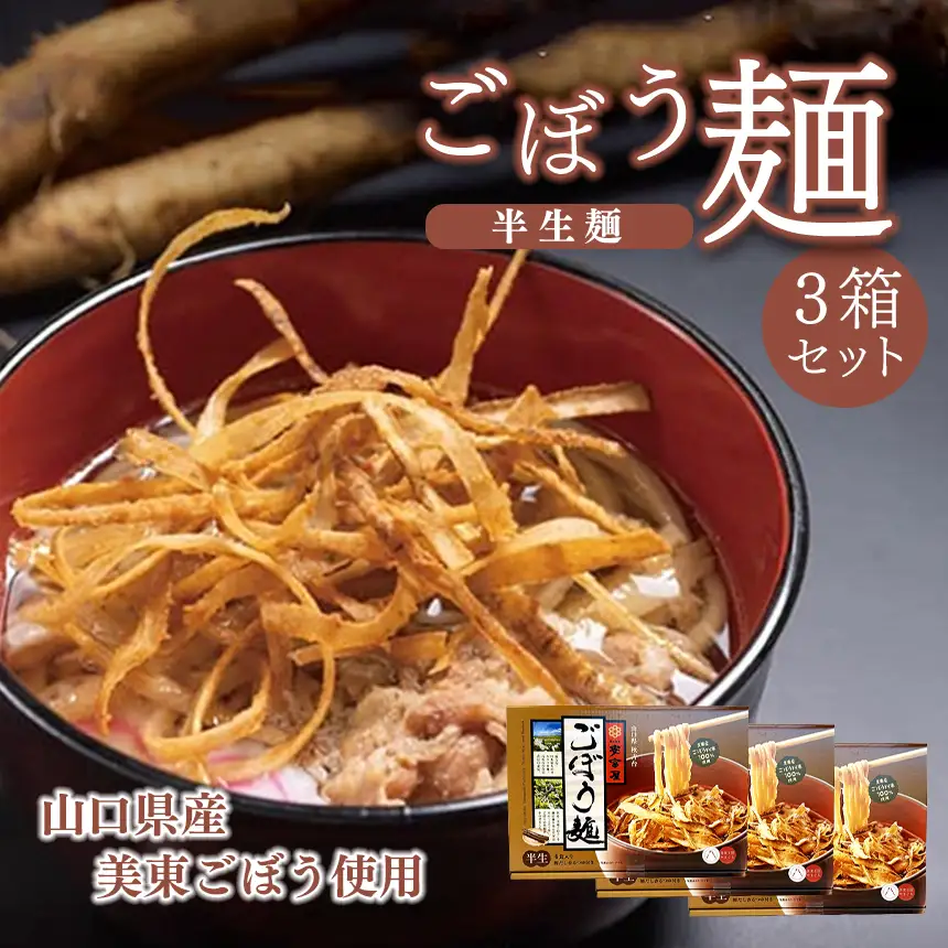 【安富屋】ごぼう麺３箱セット(４食入り×３箱）【山口県産美東ごぼう使用】