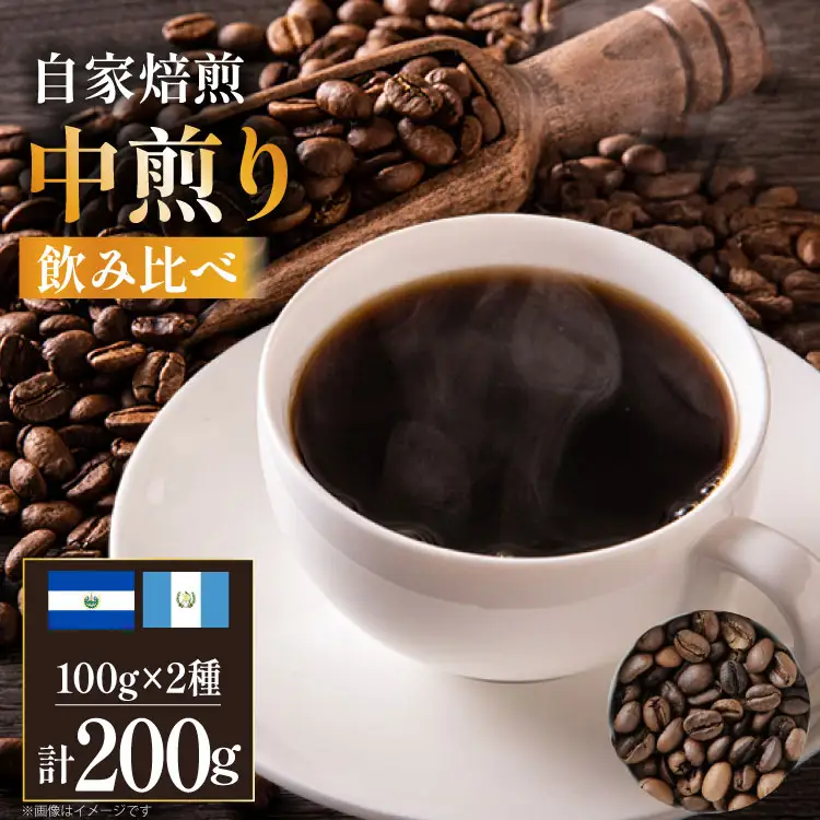 コーヒー豆 自家焙煎 中煎り 100g 2種 計200g  (生豆時) 飲み比べ セット シングルオリジン