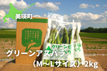 【令和9年先行予約】グリーンアスパラ M～Lサイズ 2kg アスパラガス 黒木農場 北海道 美瑛