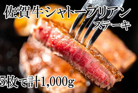 DP067_幻の部位！佐賀牛シャトーブリアンステーキ1㎏(5枚で1㎏)