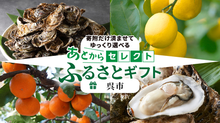 あとからセレクト【ふるさとギフト】寄附400,000円　広島県呉市 ku999-040