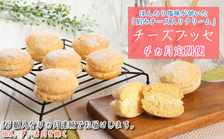 【定期便４カ月】こだわりの窯焼き「チーズブッセ」１０個入×４ヵ月連続お届け