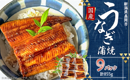 H7-84A【簡単調理】国産鰻蒲焼　95g×9パック