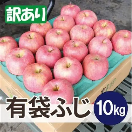 【27年5月から順次発送】平均糖度13度以上! 有袋ふじ 約10kg 訳あり CA貯蔵 クール便_果物・フルーツ りんご  リンゴ 林檎_【配送不可地域：離島・沖縄県】【1587541】