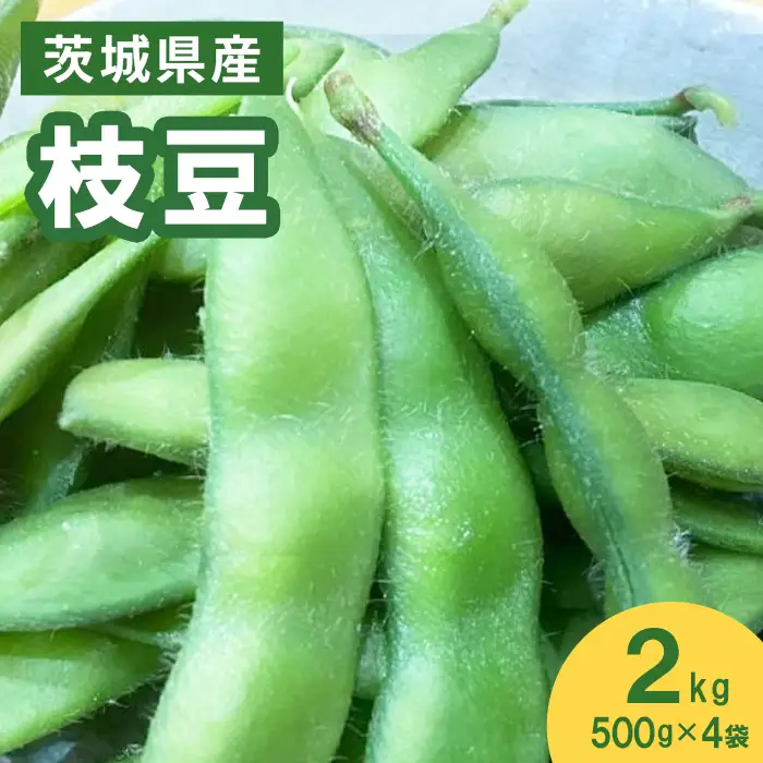 576【先行予約】枝豆 2kg 500g × 4袋 ファームランドさいとう（7月下旬頃より順次発送）