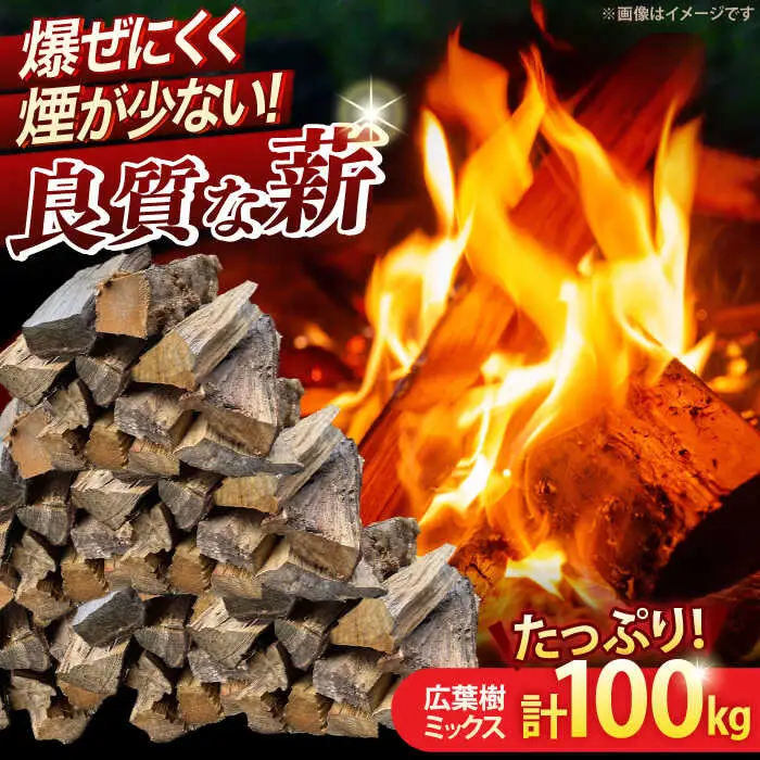 薪 広葉樹ミックス 計100 NCF101 薪