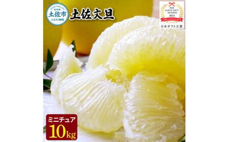 【日本ギフト大賞2024受賞】園主こだわりミニチュア土佐文旦ぶんたん 10kg 32~40玉 〈2027年1月中旬から4月下旬発送〉高知県 土佐市【やの一果彩】[BQAC028]