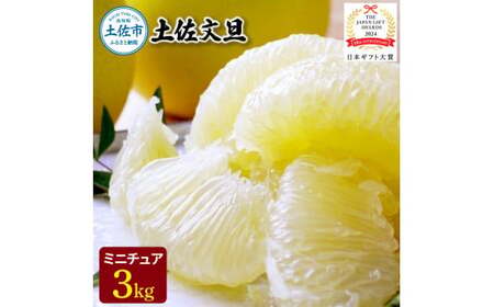 【日本ギフト大賞2024受賞】園主こだわりミニチュア土佐文旦ぶんたん 3kg 10~12玉 〈2027年1月中旬から4月下旬発送〉 高知県 土佐市【やの一果彩】[BQAC025]