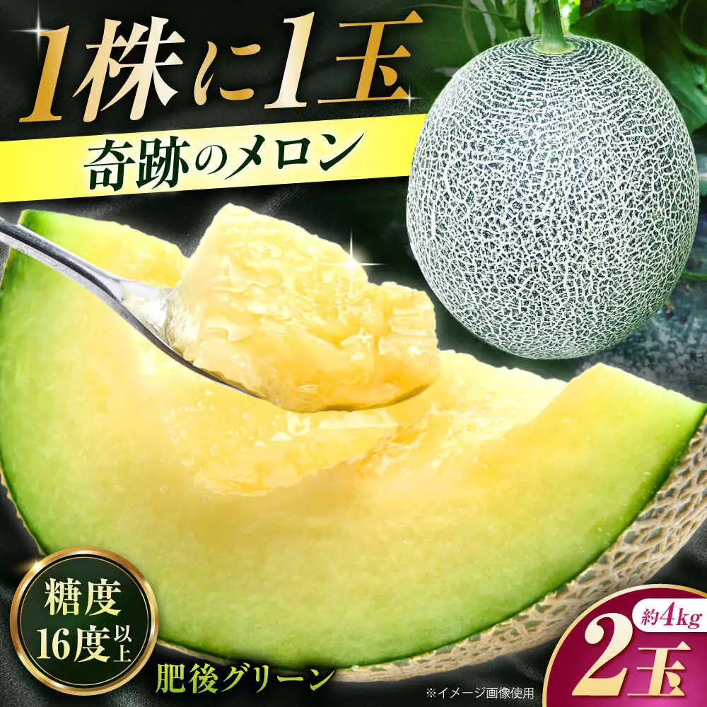 先行予約 肥後グリーンメロン約4kg(2玉)ZEM006