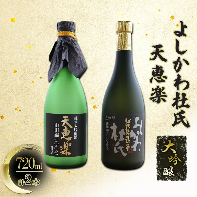 天恵楽 大吟醸 セット 上越 地酒 天恵楽 720ml