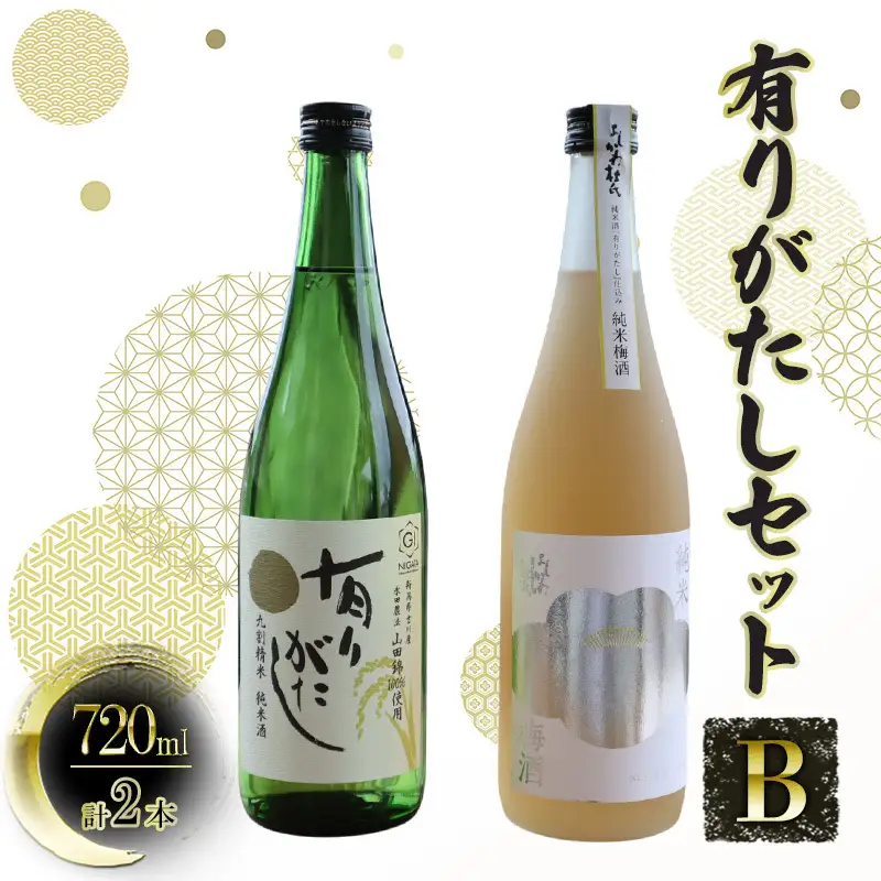 【道の駅よしかわ杜氏の郷】有りがたしセットB 日本酒 有りがたし 720ml×2本