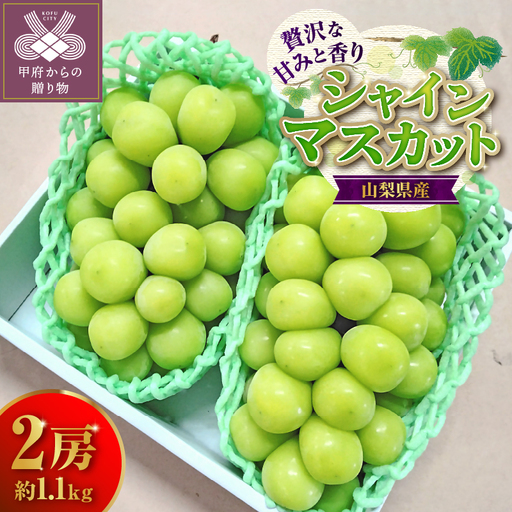 【2026年配送分】シャインマスカット 2房 約1.1kg