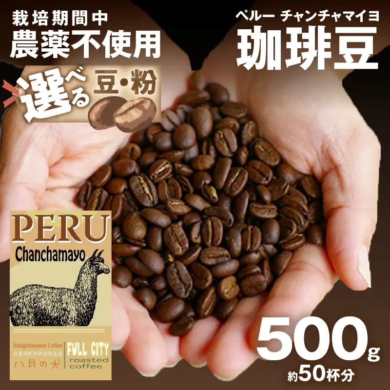 コーヒー豆 ペルーチャンチャマイヨ 500g  | コーヒー豆
