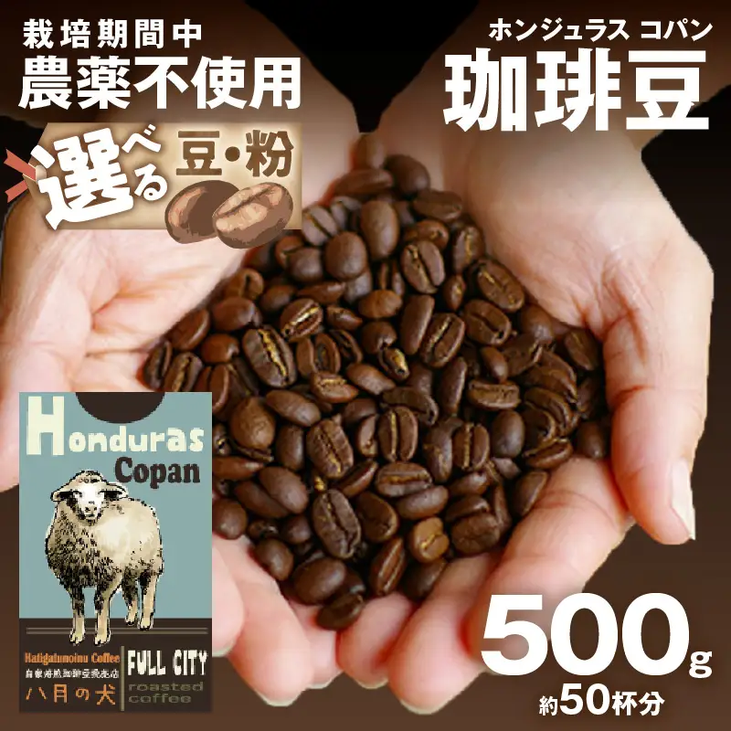 【コーヒー豆】 ホンジュラスコパン 500g コーヒー豆