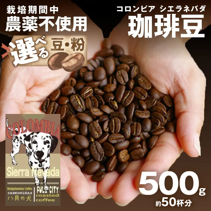【コーヒー豆】 コロンビア シエラネバダ 500g コーヒー豆