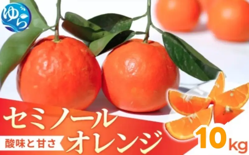 セミノール 10kg /  みかん 晩柑 柑橘 果物 送料無料 産地直送 和歌山県 由良町 ※3月下旬～4月下旬頃に順次発送予定【kzmn016-r-10】