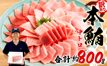 本まぐろ 中トロ 訳あり 約800g まぐろ【fjd171】