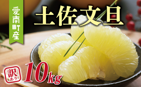 訳あり 土佐 文旦 10kg （ M - L サイズ ） 10000円 ぶんたん みかん mikan 蜜柑 ミカン 土佐文旦 わけあり 家庭用 産地直送 国産 農家直送 糖度 期間限定 数量限定 特産品 ゼリー ジュース アイス 人気 限定 甘い 果実 果肉 フルーツ 果物 柑橘 ビタミン 健康 美味しい おいしい ジューシー 小玉 サイズ ミックス 果樹園みどり 愛南町 愛媛県【midori19】