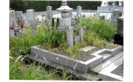 親孝行代行サービス 墓地の除草作業
