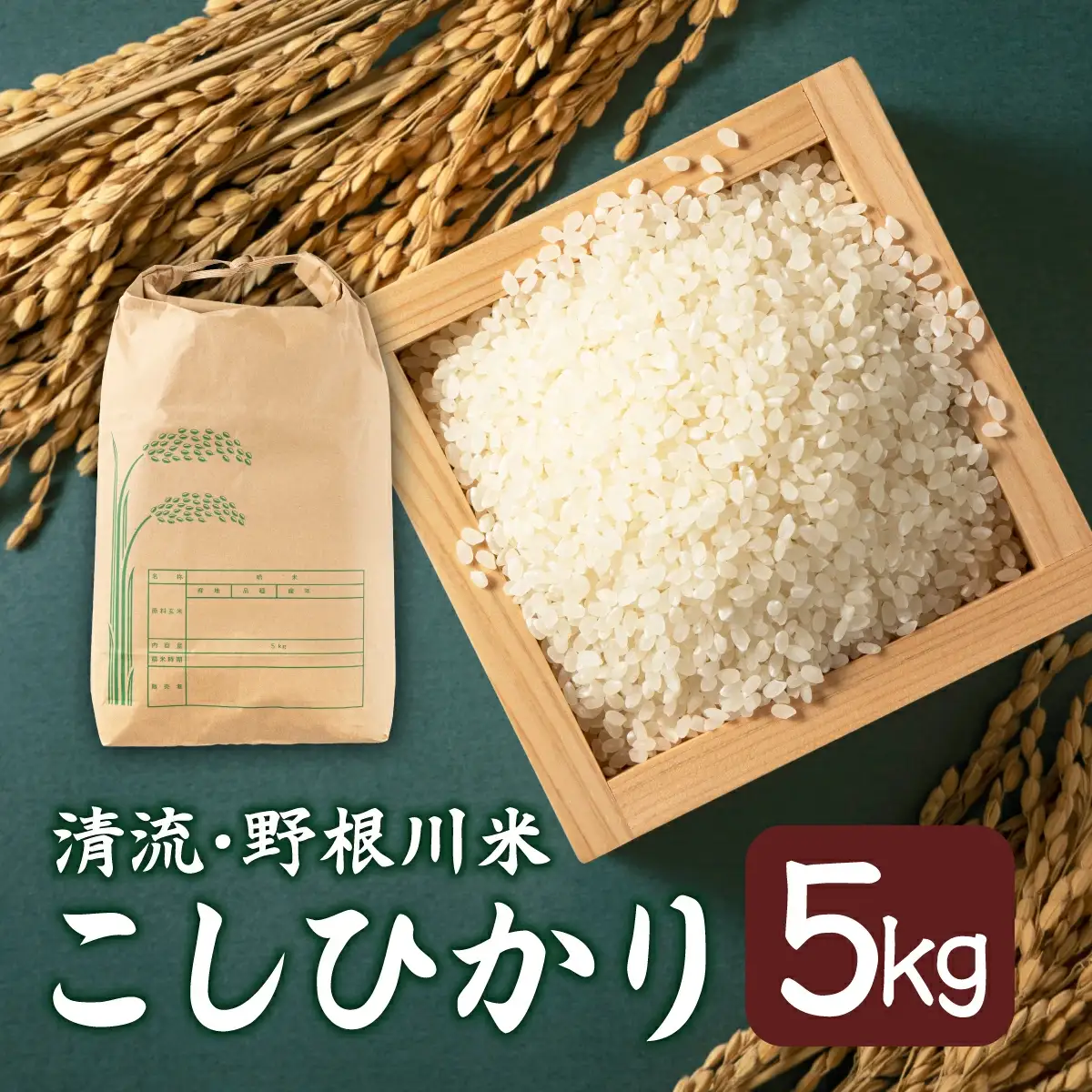  令和8年産 野根川米5kg こしひかり 米 国産 コメ