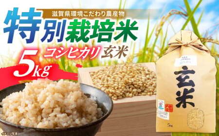 低農薬有機肥料栽培 コシヒカリ 玄米5Kg[AQBL002]こしひかり