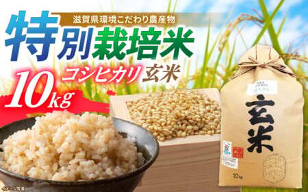 低農薬有機肥料栽培 コシヒカリ 玄米10Kg[AQBL008] 玄米