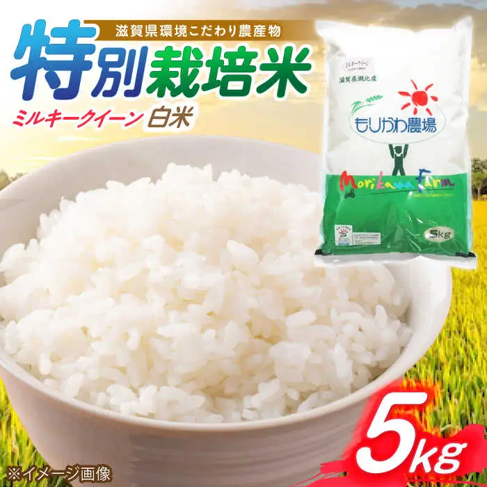 低農薬栽培 ミルキークイーン 白米5kg[AQBL023] 白米