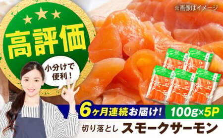 サーモン【全6回】スモークサーモン 100ｇ×5[AQAJ021]