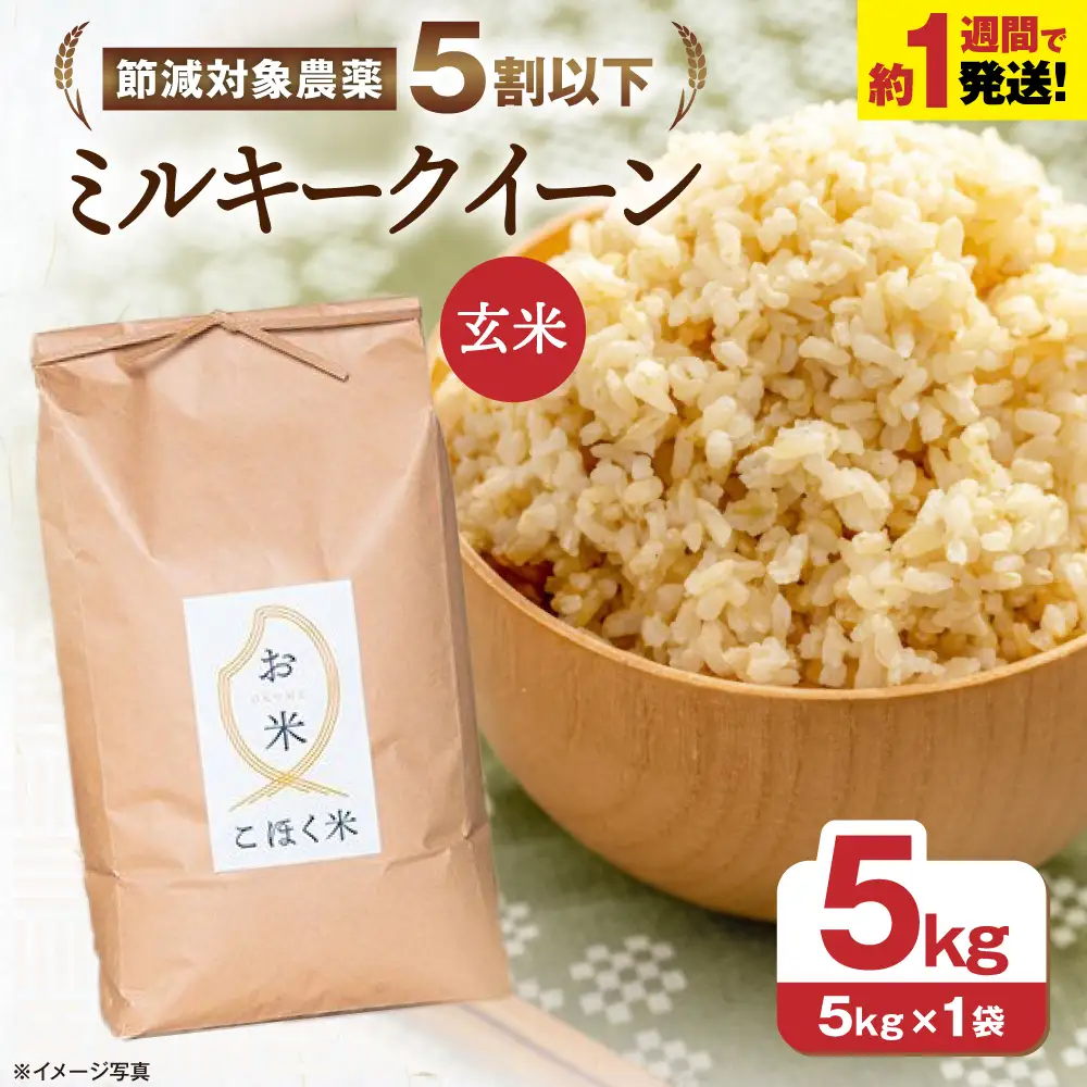 玄米【スピード発送】ミルキークイーン 玄米5kg[AQAK009]