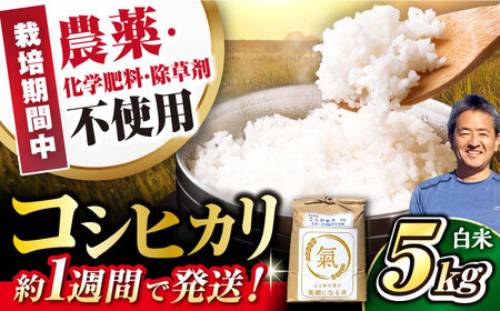 七神氣こしひかり (有機栽培) 白米 5kg [AQCN001] コシヒカリ