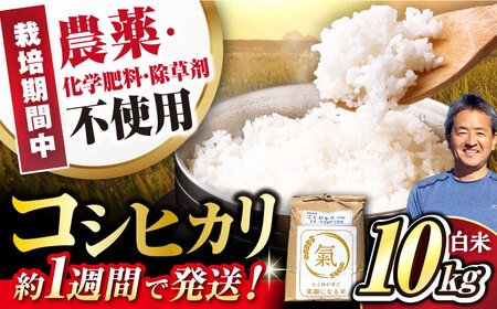 七神氣こしひかり (有機栽培) 白米 10kg [AQCN002] コシヒカリ