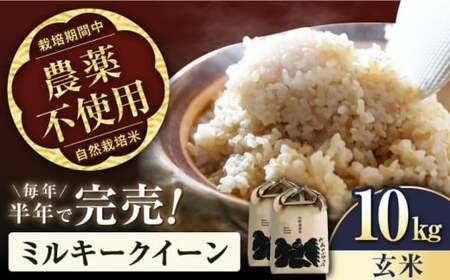 【先行予約】令和8年産 新米 ミルキークイーン 10kg 玄米 [AQCP005]