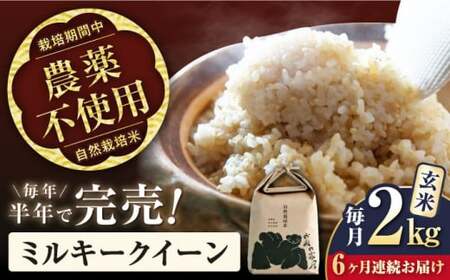 【先行予約】令和8年産 新米 6回定期 ミルキークイーン 2kg 玄米 [AQCP009]
