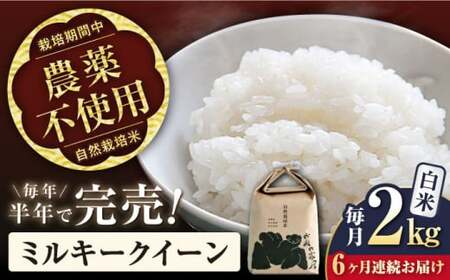 新米 6回定期便 ミルキークイーン 2kg 白米 [AQCP010] 米 定期便