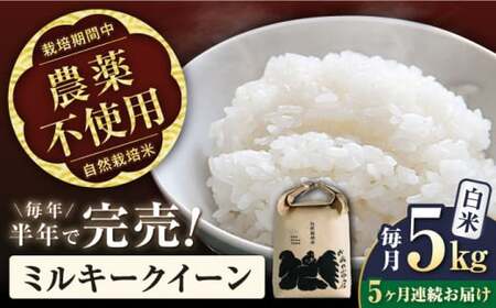 新米 5回定期便 ミルキークイーン 5kg 白米 [AQCP012] 米 定期便