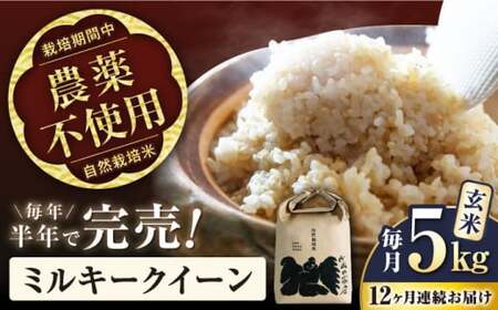 【先行予約】令和8年産 新米 12回定期 ミルキークイーン 5kg 玄米[AQCP017]