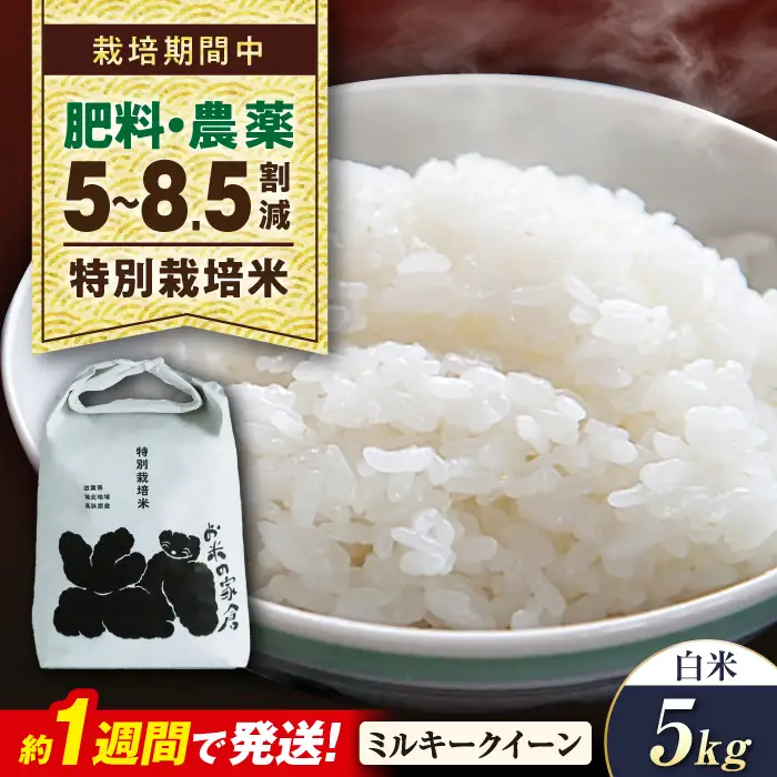 新米 ミルキークイーン 5kg 白米 特栽[AQCP020] 新米