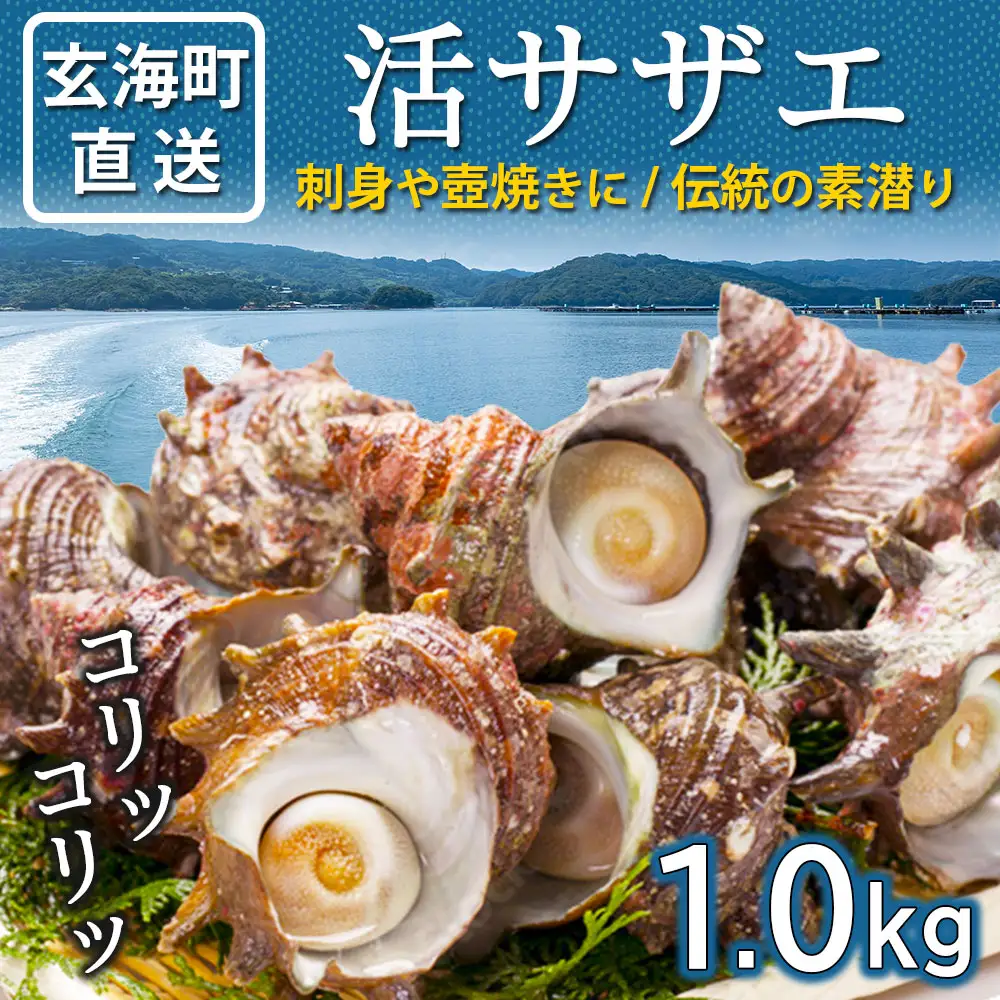 玄海町産 活サザエ 1.0kg ／ 数量限定 壺焼き サザエ【A186】