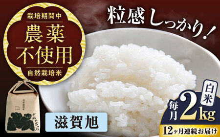 先行予約 新米 12回定期便 滋賀旭 2kg 白米 新米 [AQCP048] 定期便