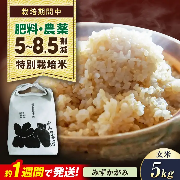 米 5キロ みずかがみ 玄米[AQCP053] 特別栽培米 5kg