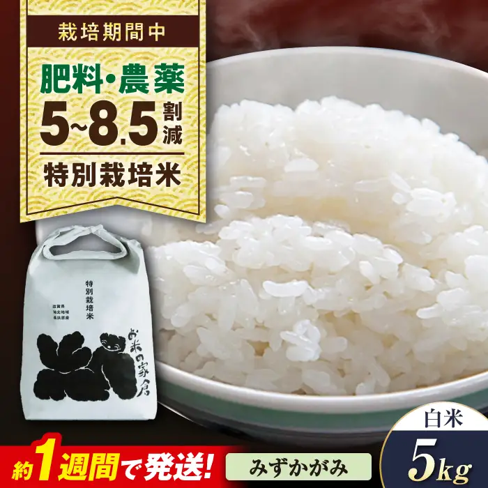 米 5キロ みずかがみ 白米[AQCP054] 特別栽培米 5kg