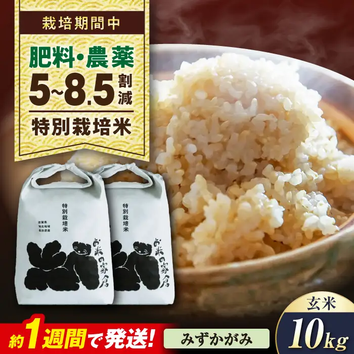 米 10キロ みずかがみ 玄米[AQCP055] 特別栽培米 10kg