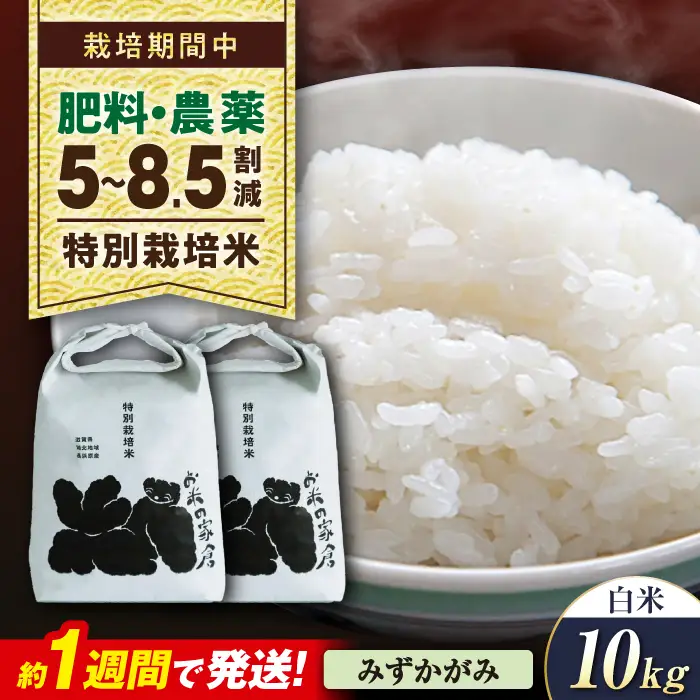 米 10キロ みずかがみ 白米[AQCP056] 特別栽培米 10kg